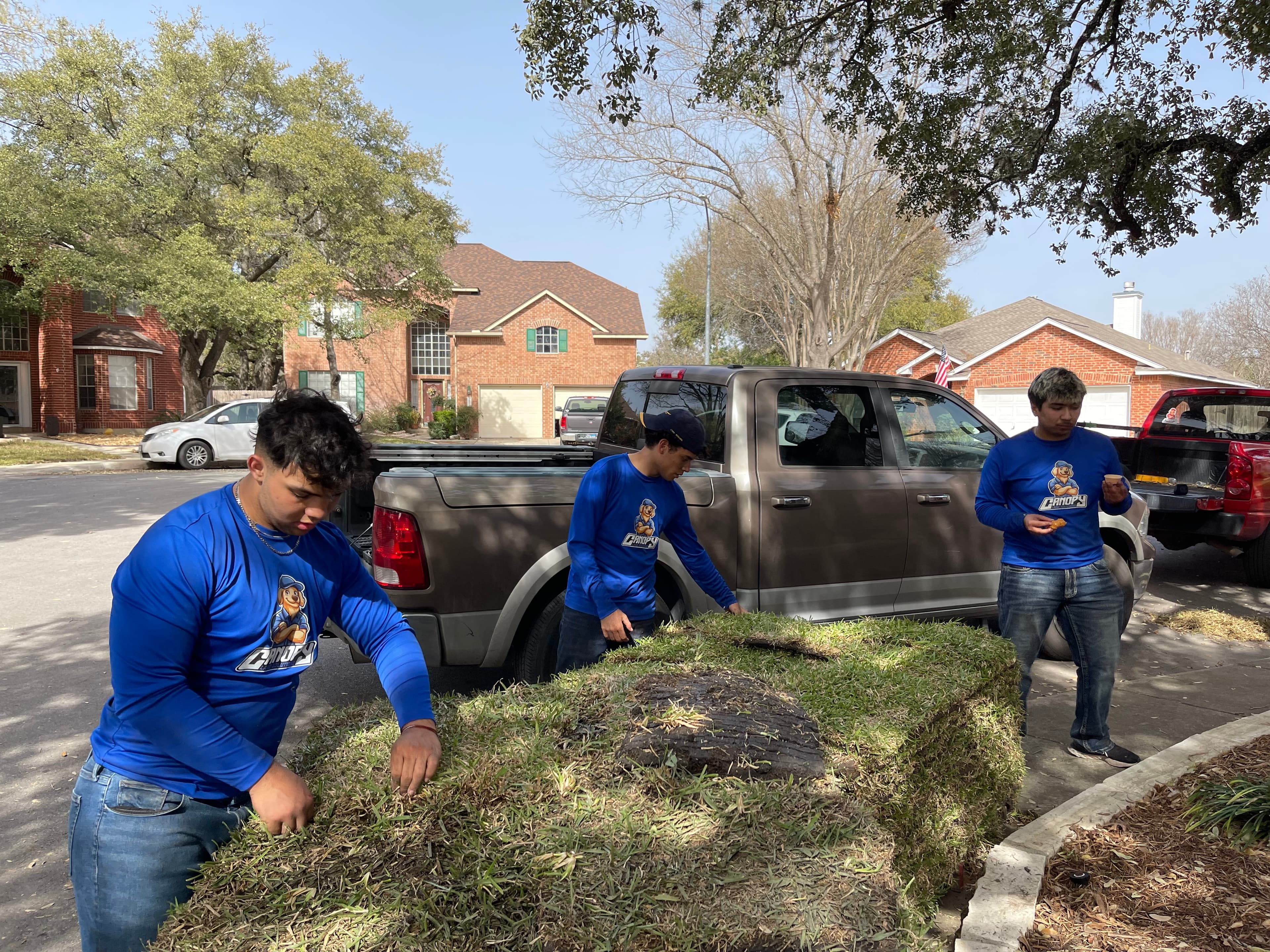 Sod Installation