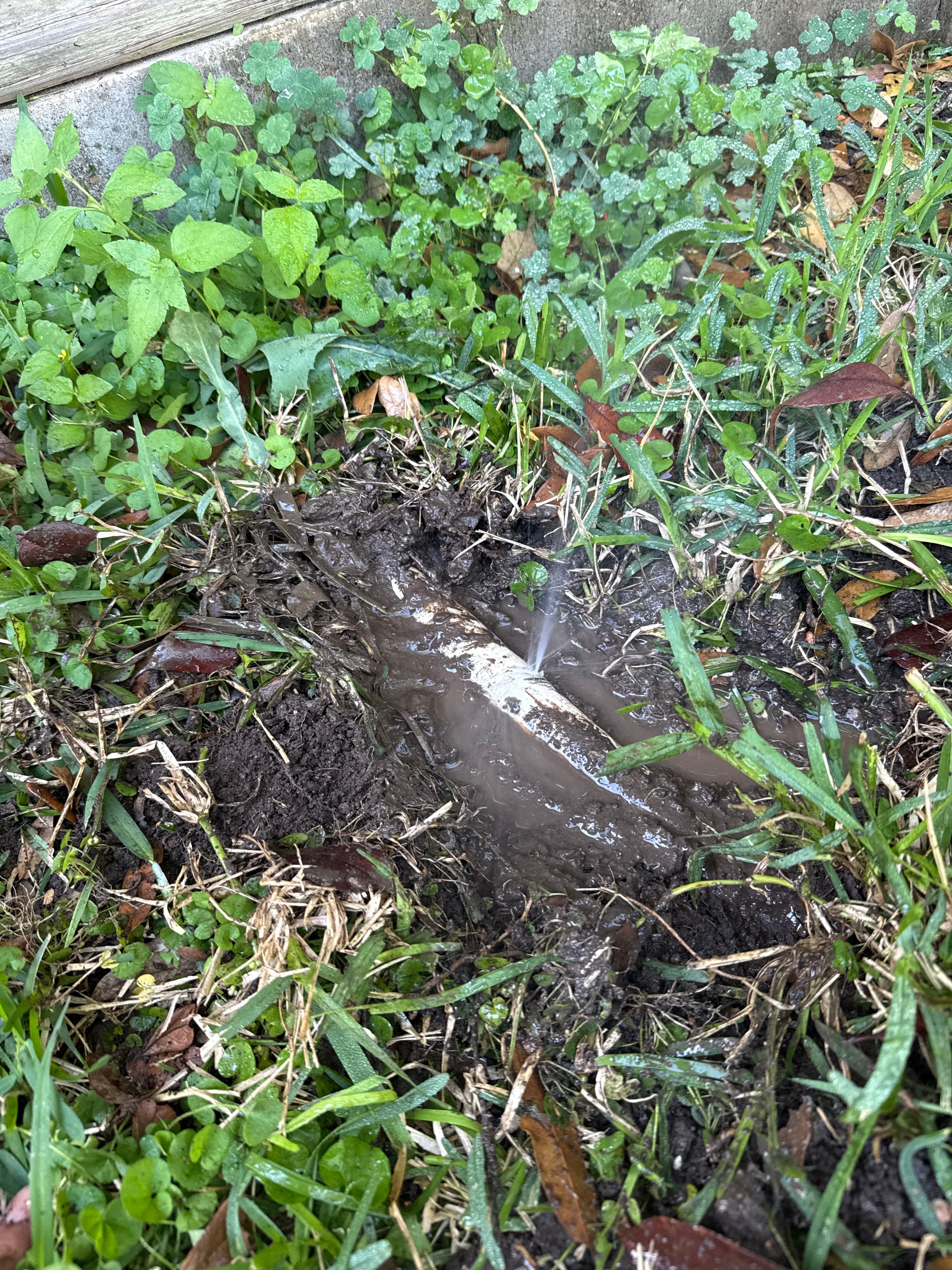 Irrigation