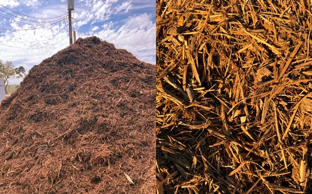 Single Grind Cedar — Mulch material delivered and installed by Canopy Land Solutions in San Antonio, TX